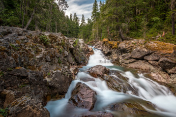 Картинка природа реки озера река лес