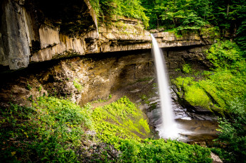 Картинка природа водопады водопад река лес