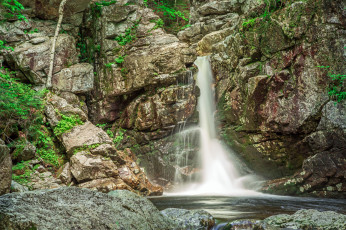 Картинка природа водопады водопад река лес