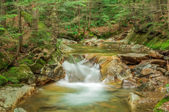 Картинка природа водопады водопад река лес