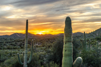 Картинка природа восходы закаты рассвет