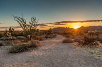 Картинка природа восходы закаты рассвет