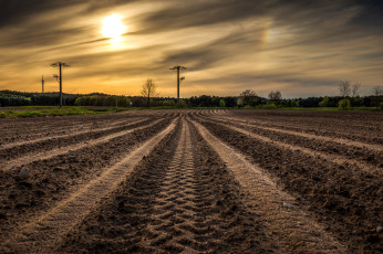 Картинка природа восходы закаты вечер пашня