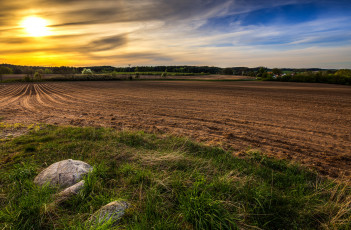 Картинка природа восходы закаты поле рассвет