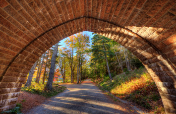 Картинка природа дороги дорожка арка лес
