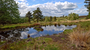 Картинка природа реки озера лес река