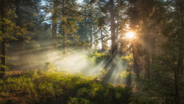 Картинка природа восходы закаты рассвет