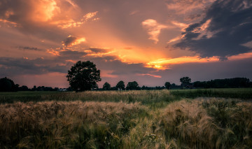 Картинка природа восходы закаты заря вечер