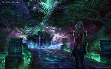 Картинка видео+игры the+elder+scrolls+online the elder scrolls online ролевая action