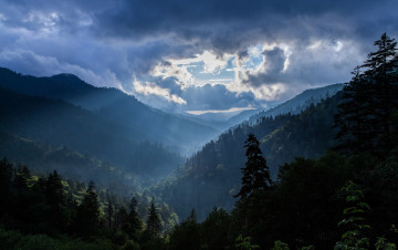 Картинка природа восходы закаты горы облака лес небо лучи восход