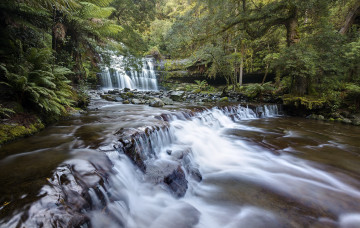 Картинка природа водопады лес река водопад