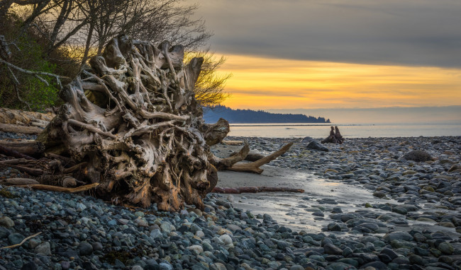 Обои картинки фото природа, реки, озера, лес, река