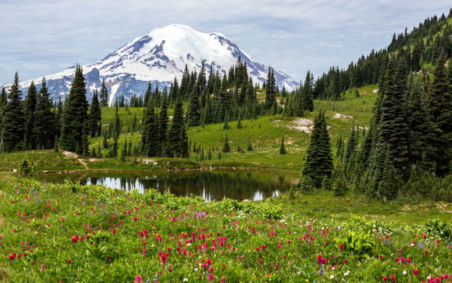Обои картинки фото природа, реки, озера, трава, поляна, озеро, деревья, снежная, цветы, гора