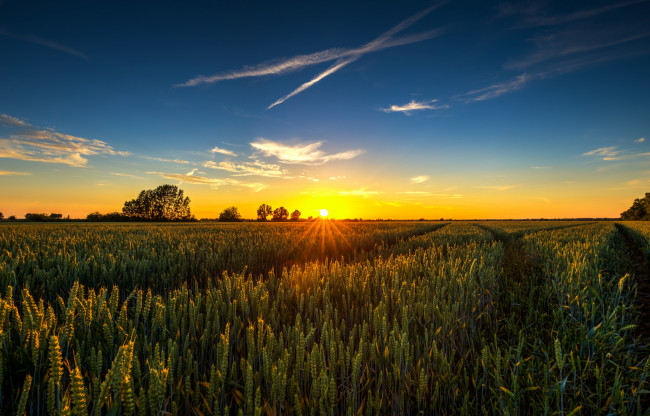 Обои картинки фото природа, восходы, закаты, рассвет