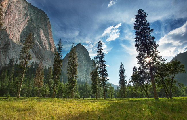 Обои картинки фото природа, восходы, закаты, растения, yosemite, national, park, лес, гора