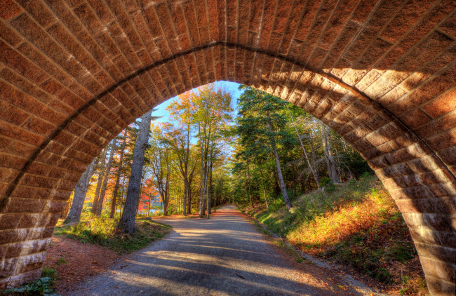Обои картинки фото природа, дороги, дорожка, арка, лес