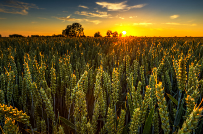 Обои картинки фото природа, восходы, закаты, рассвет