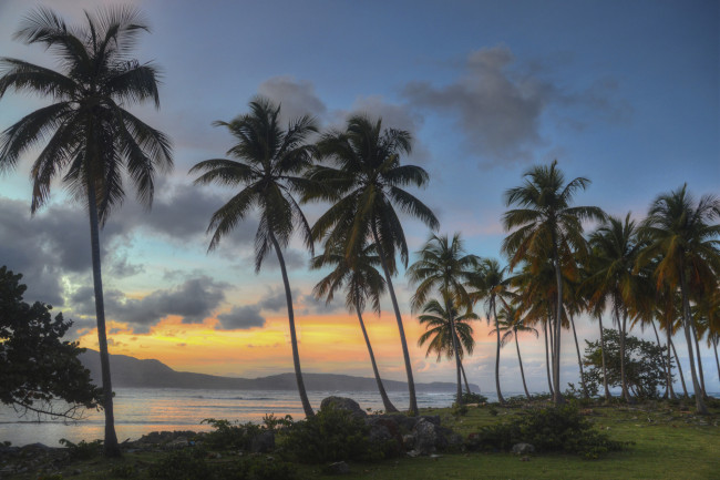 Обои картинки фото природа, тропики, пальмы, вечер