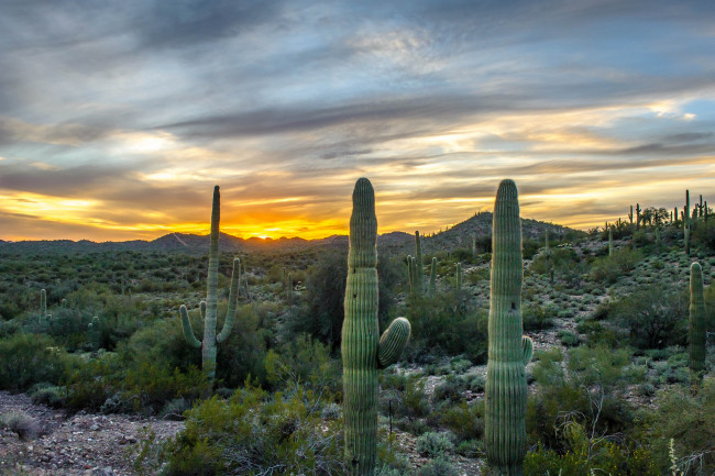 Обои картинки фото природа, восходы, закаты, рассвет