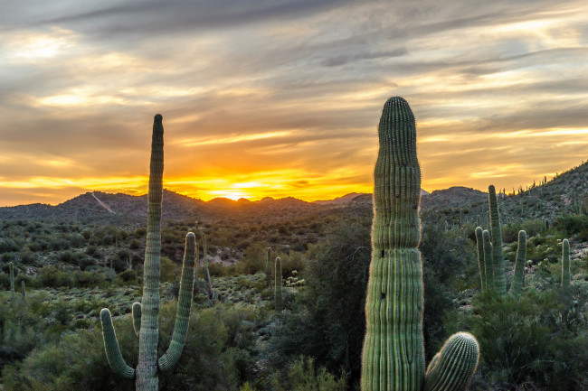 Обои картинки фото природа, восходы, закаты, рассвет