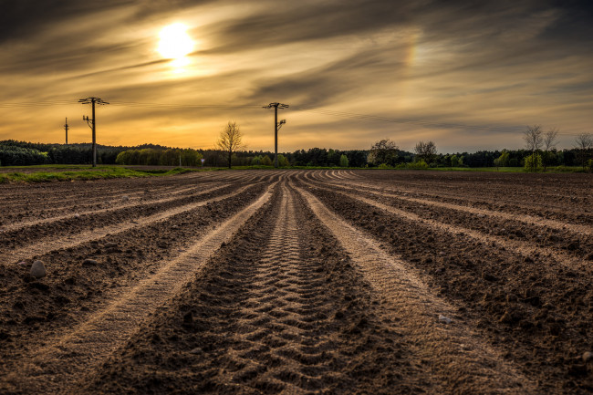 Обои картинки фото природа, восходы, закаты, вечер, пашня