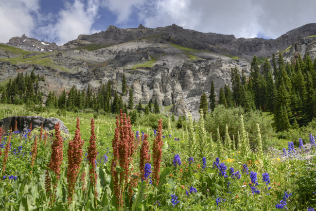 Обои картинки фото природа, луга, скалы, лес, трава, цветы