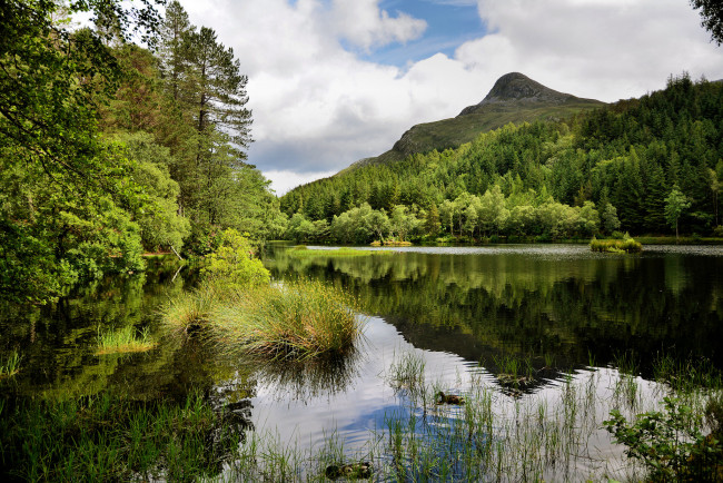 Обои картинки фото природа, реки, озера, лес, река