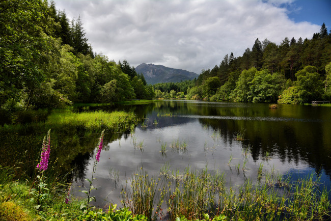 Обои картинки фото природа, реки, озера, лес, река