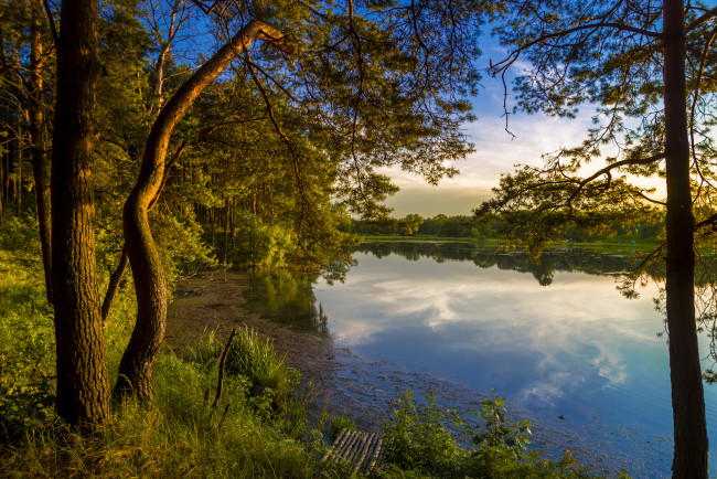 Обои картинки фото природа, реки, озера, лес, река