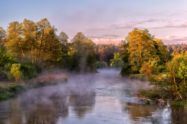 Обои картинки фото природа, реки, озера, лес, река