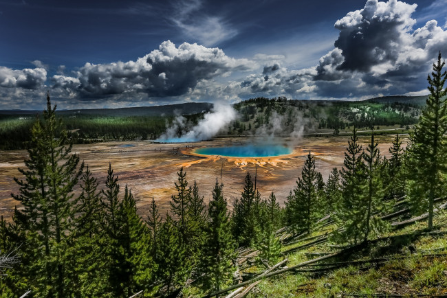 Обои картинки фото природа, стихия, испарения, гейзер, лес, плато