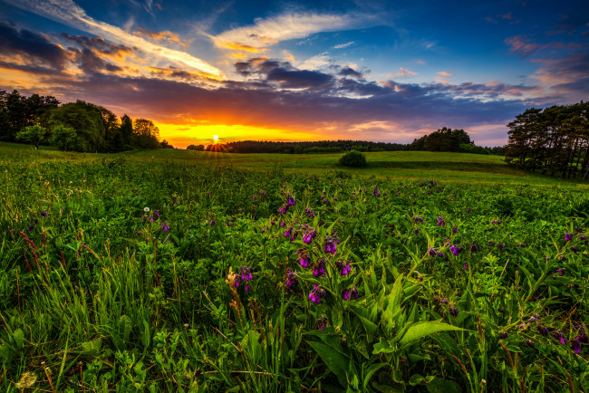 Обои картинки фото природа, восходы, закаты, рассвет