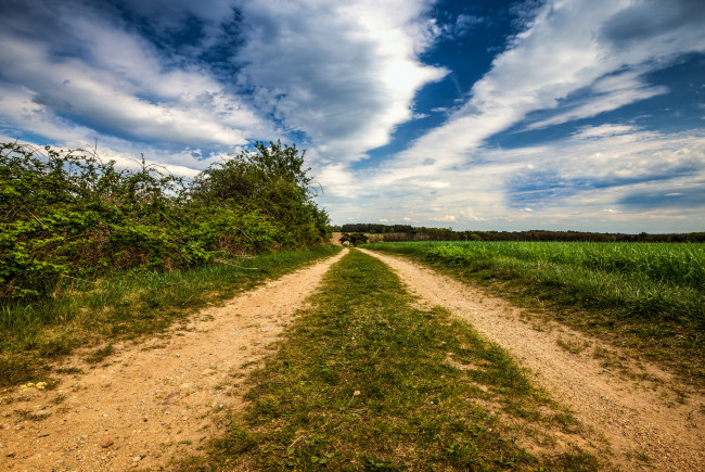 Обои картинки фото природа, дороги, поле, колея