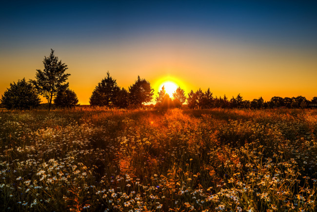 Обои картинки фото природа, восходы, закаты, рассвет