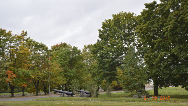 Обои картинки фото парк кронштадт, природа, парк, кронштадт