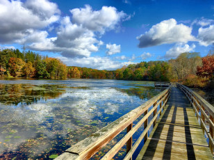 Картинка природа реки озера простор