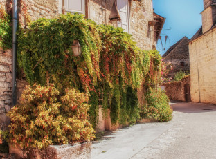 Картинка франция города -+улицы +площади +набережные растения фонарь здания