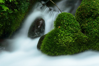Картинка природа водопады waterfall листья вода поток stream осень autumn leaves водопад water