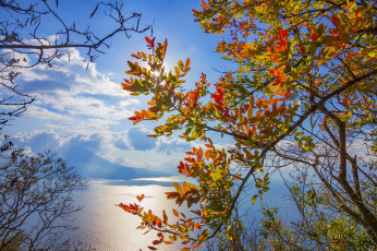 Картинка природа пейзажи простор