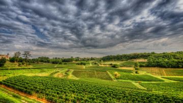 Картинка природа пейзажи простор