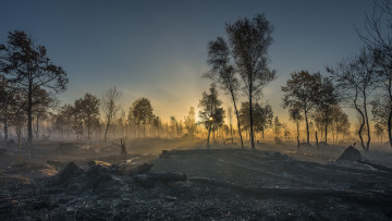 Картинка природа пейзажи простор