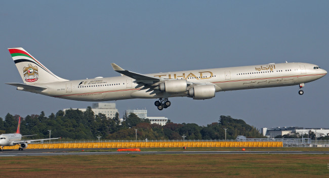 Обои картинки фото авиация, пассажирские самолёты, авиалайнер