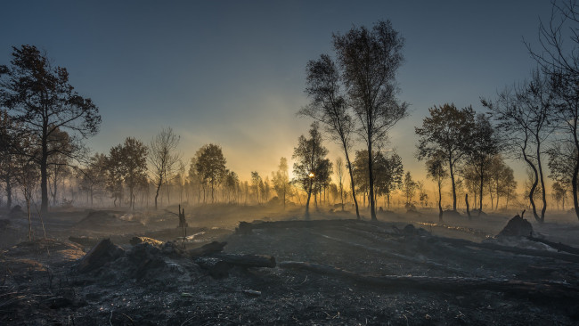 Обои картинки фото природа, пейзажи, простор