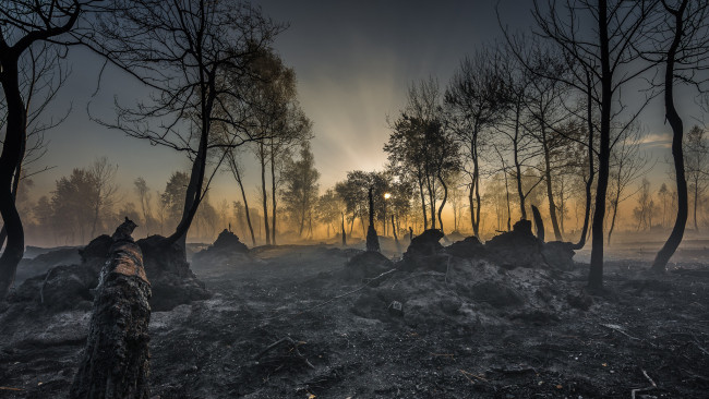 Обои картинки фото природа, пейзажи, простор