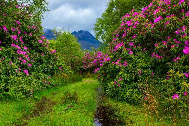 Обои картинки фото природа, дороги, простор