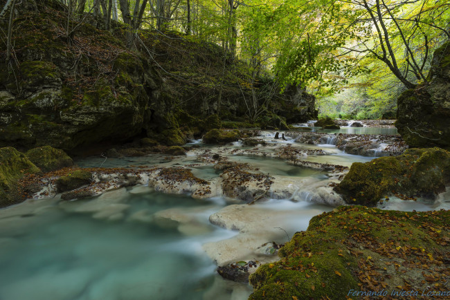 Обои картинки фото природа, реки, озера, вода, поток, лес, река