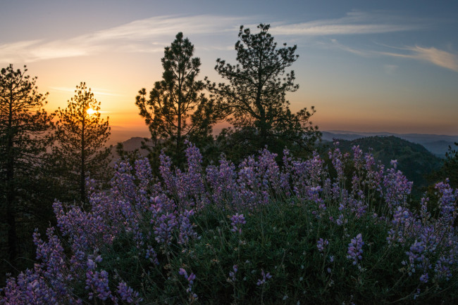 Обои картинки фото природа, восходы, закаты, простор