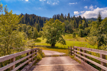 Картинка природа дороги простор