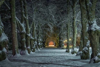 Картинка природа другое простор