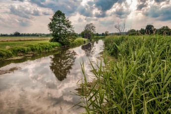 Картинка природа реки озера простор